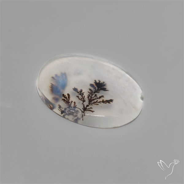 Scenic Dendritic Agate