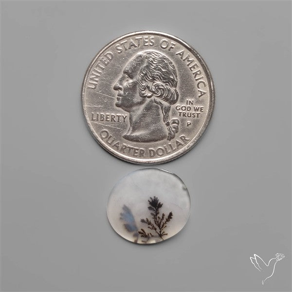 Scenic Dendritic Agate