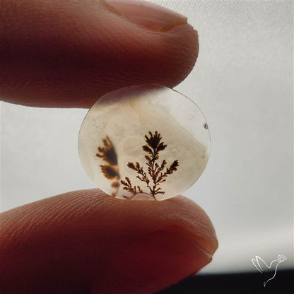Scenic Dendritic Agate