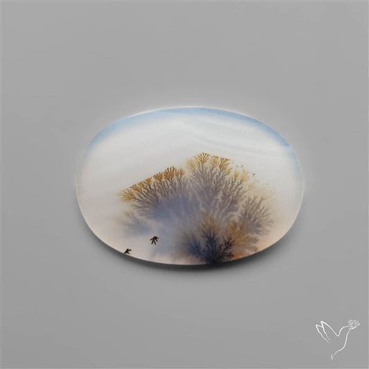 Scenic Dendritic Agate