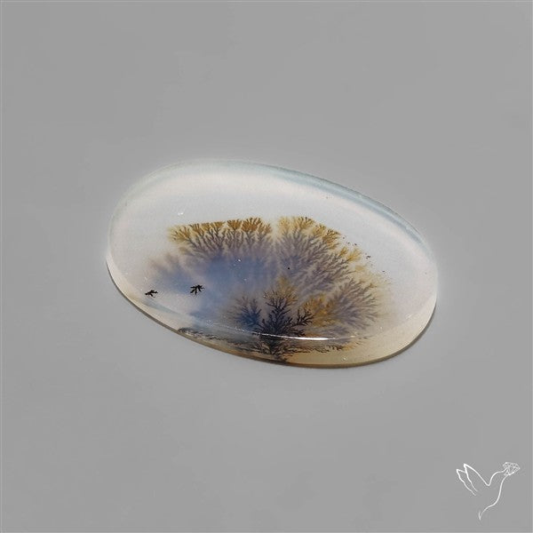 Scenic Dendritic Agate