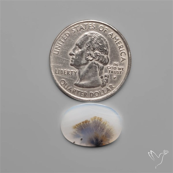 Scenic Dendritic Agate