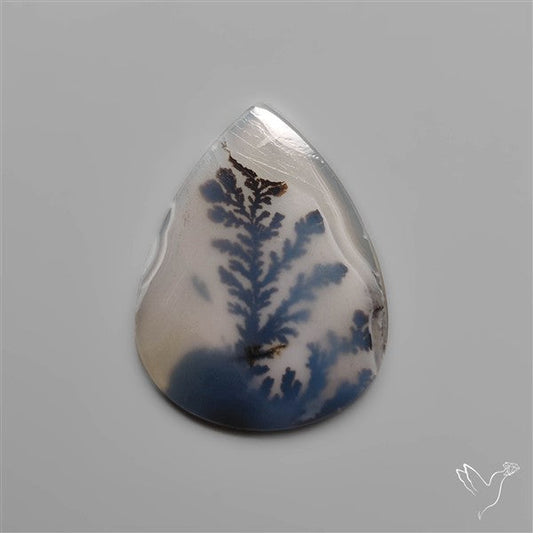 Scenic Dendritic Agate