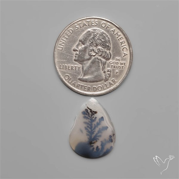 Scenic Dendritic Agate