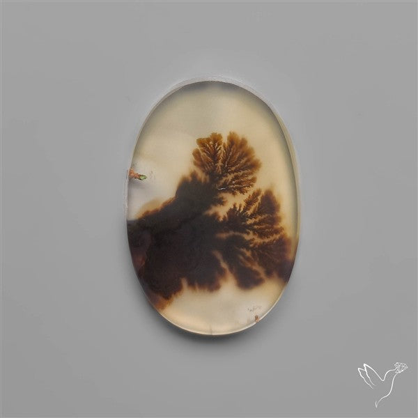 Scenic Dendritic Agate