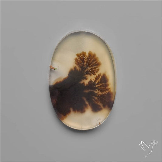 Scenic Dendritic Agate