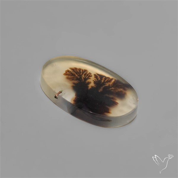 Scenic Dendritic Agate