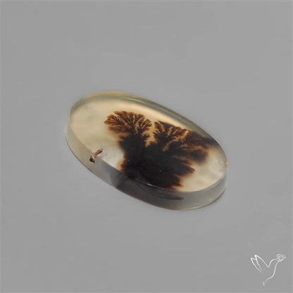 Scenic Dendritic Agate