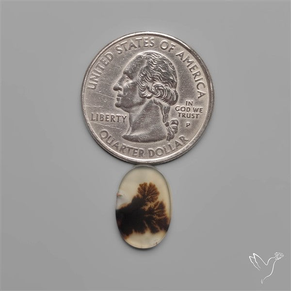 Scenic Dendritic Agate