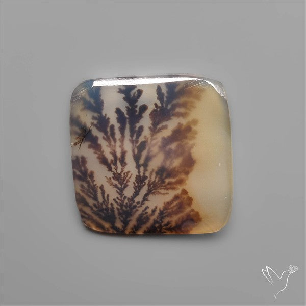 Scenic Dendritic Agate
