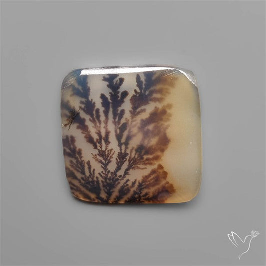 Scenic Dendritic Agate