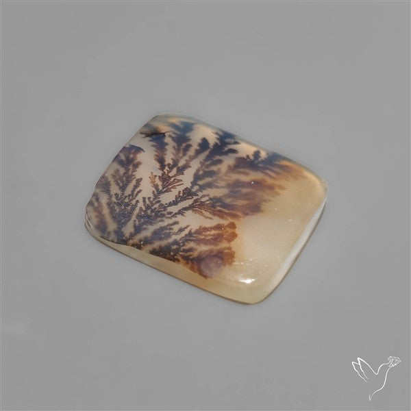 Scenic Dendritic Agate