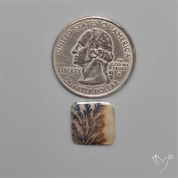 Scenic Dendritic Agate
