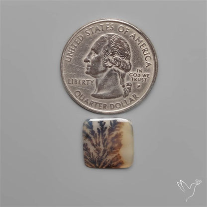 Scenic Dendritic Agate