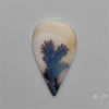 Scenic Dendritic Agate