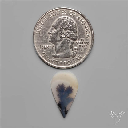Scenic Dendritic Agate