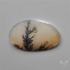 Scenic Dendritic Agate