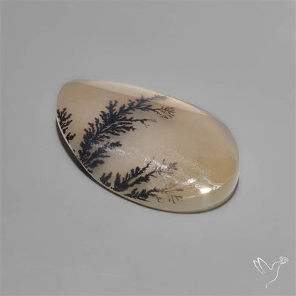 Scenic Dendritic Agate