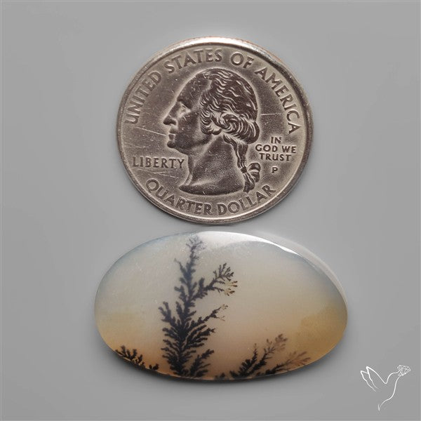 Scenic Dendritic Agate