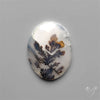 Scenic Dendritic Agate