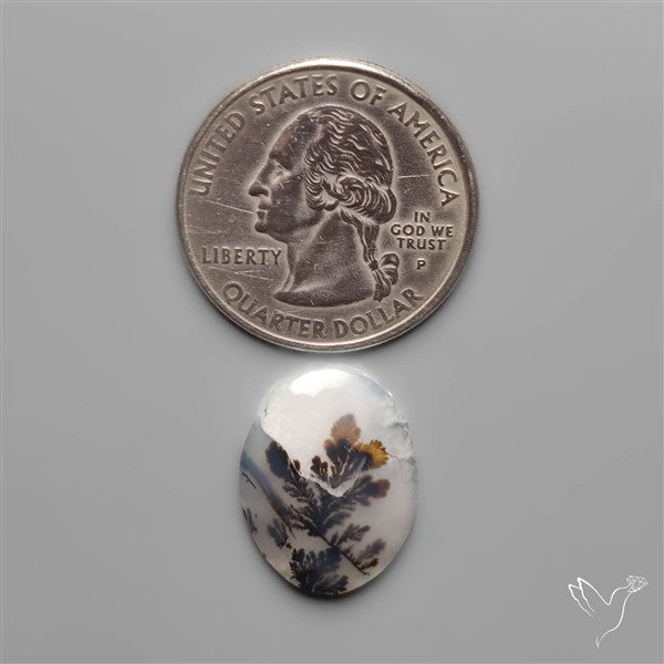 Scenic Dendritic Agate