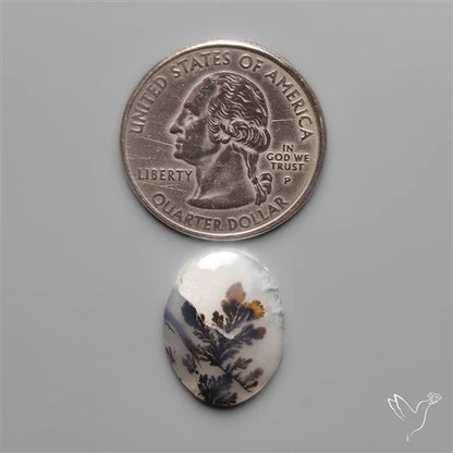 Scenic Dendritic Agate