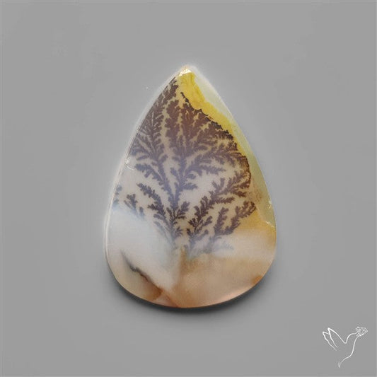 Scenic Dendritic Agate