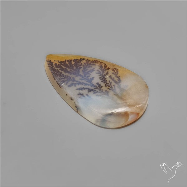 Scenic Dendritic Agate