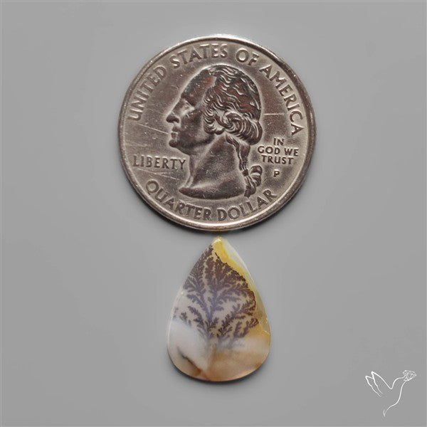 Scenic Dendritic Agate
