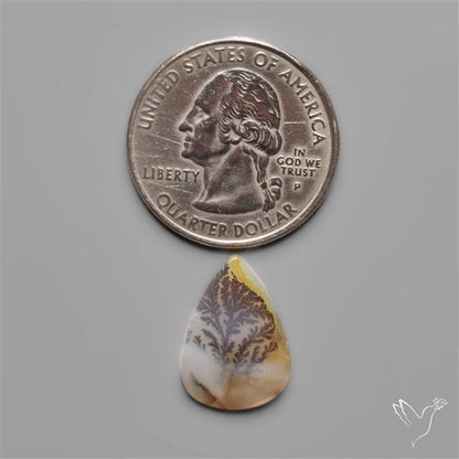 Scenic Dendritic Agate