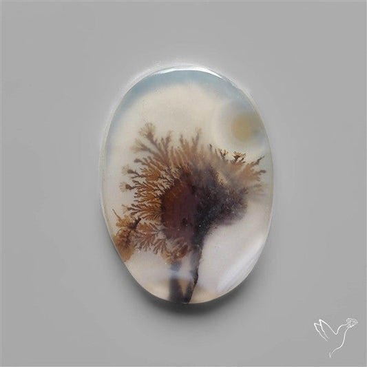 Scenic Dendritic Agate