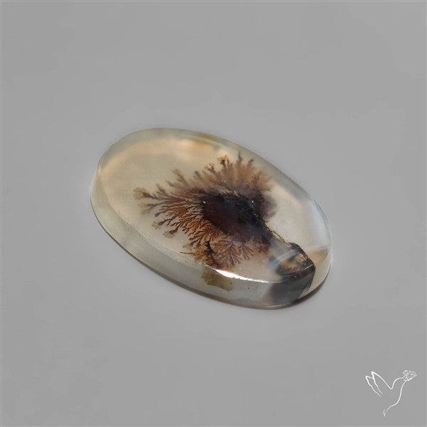 Scenic Dendritic Agate