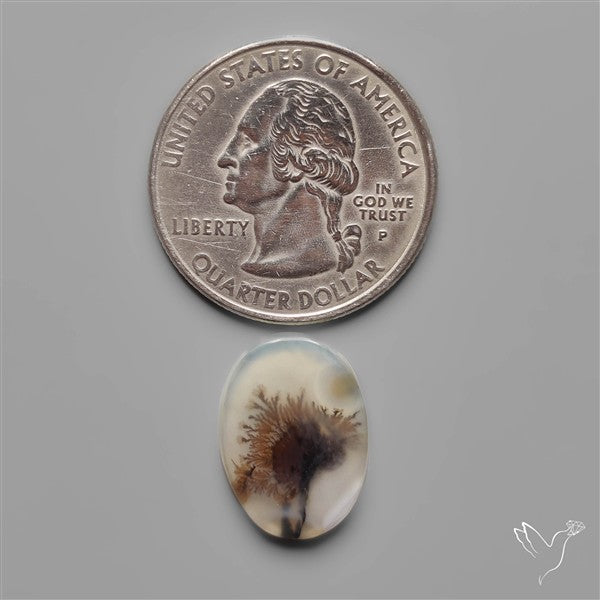 Scenic Dendritic Agate