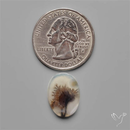 Scenic Dendritic Agate