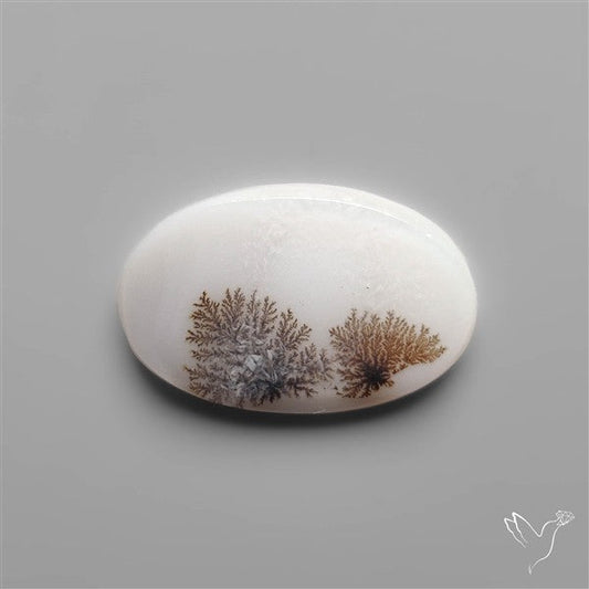 Scenic Dendritic Agate