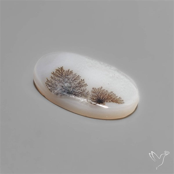 Scenic Dendritic Agate