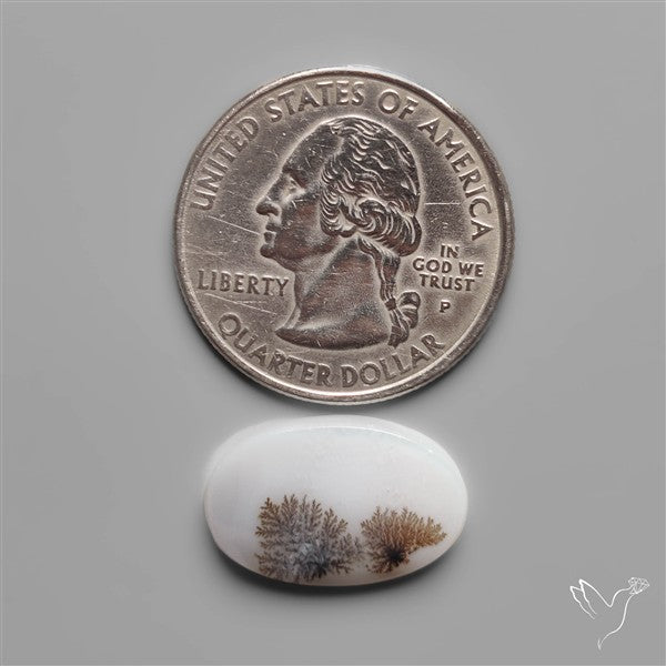 Scenic Dendritic Agate