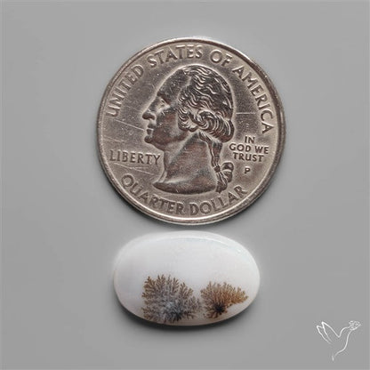 Scenic Dendritic Agate