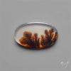 Scenic Dendritic Agate