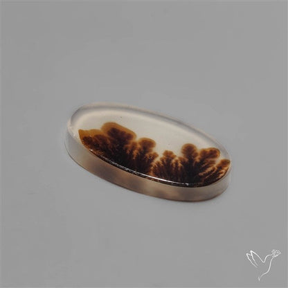 Scenic Dendritic Agate