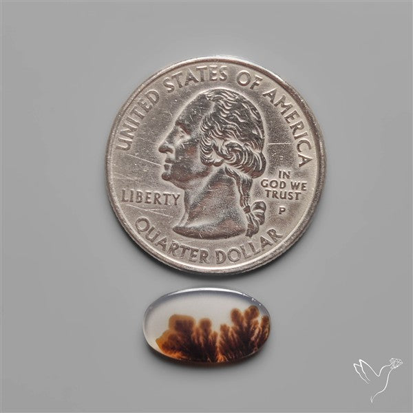 Scenic Dendritic Agate