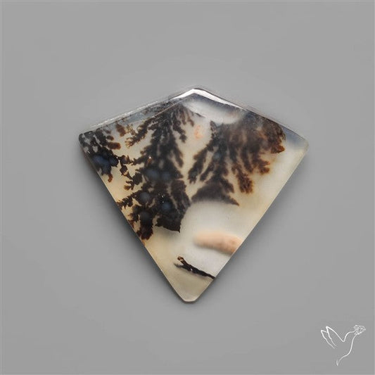 Scenic Dendritic Agate