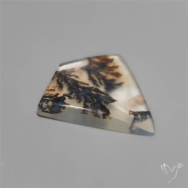 Scenic Dendritic Agate