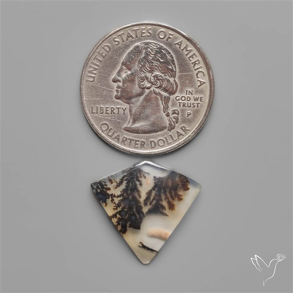 Scenic Dendritic Agate