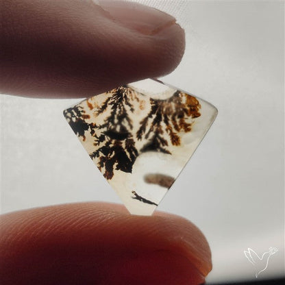Scenic Dendritic Agate