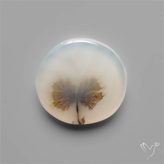 Scenic Dendritic Agate
