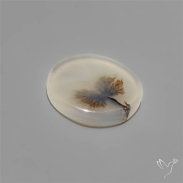 Scenic Dendritic Agate