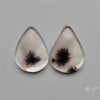 Scenic Dendritic Agates Pair