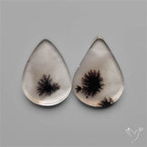 Scenic Dendritic Agates Pair