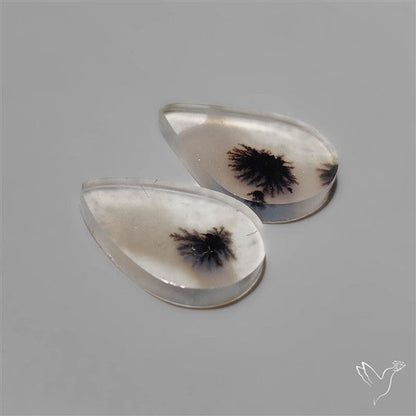 Scenic Dendritic Agates Pair